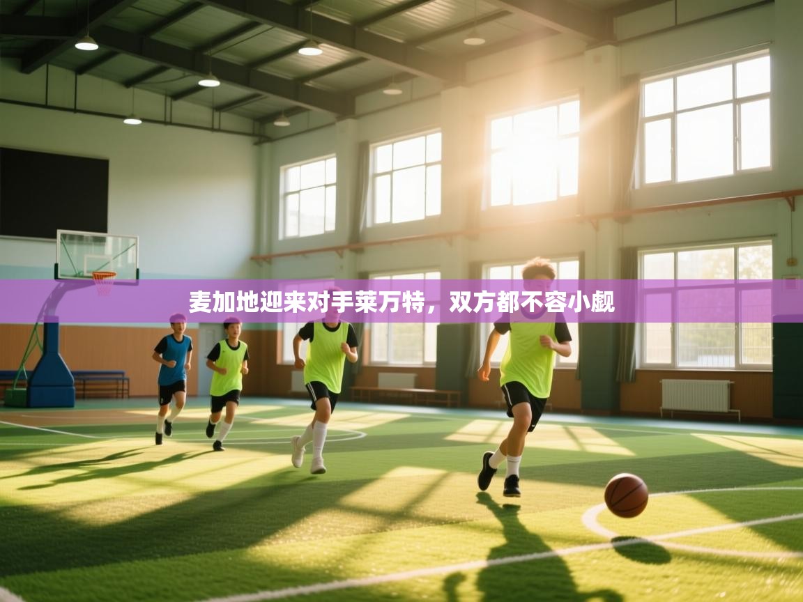 麦加地迎来对手莱万特,双方都不容小觑 第1张