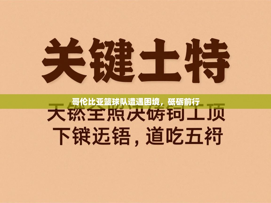 哥伦比亚篮球队遭遇困境，砥砺前行  第1张